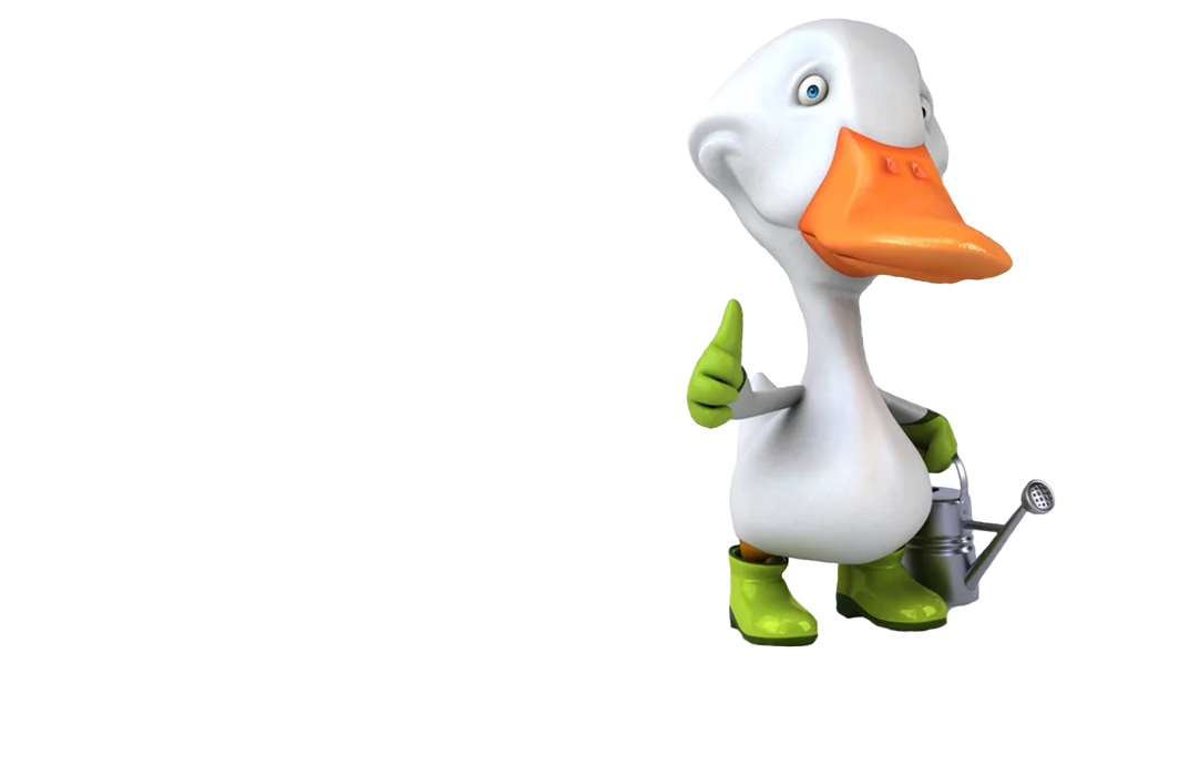 The Garden Duck Logo